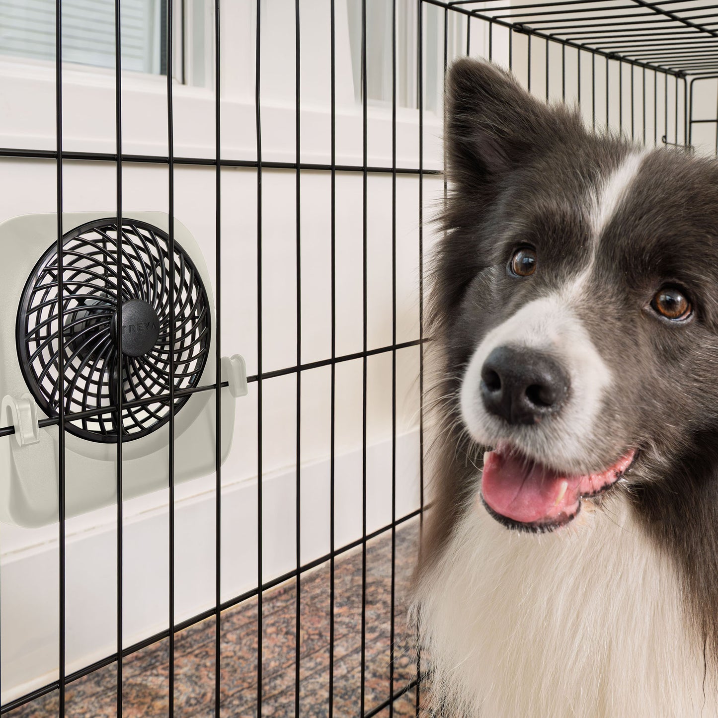 PET CRATE FAN