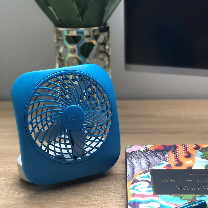 5" DESK FAN